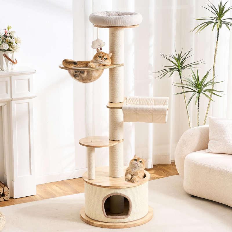Tour pour arbre à chat moderne avec poteau à griffer pour chats d'intérieur Grand adulte, tour d'arbre à chat multifonctionnelle en bois massif de 60 pouces de hauteur avec lit, capsule d'espace, condo enveloppé de sisal, utilisation multiple de chats