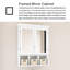 Pharmacie rectangulaire en aluminium 24,75 "avec miroir