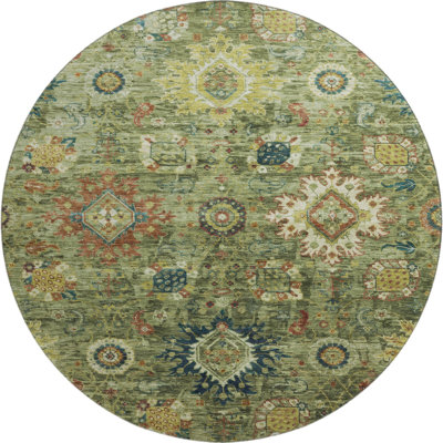 Premium Machine Washable Alaina AMF1927 Global Rug