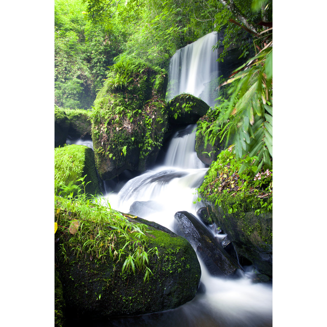 Wasserfall im Wald von Mantaphoto - Drucken