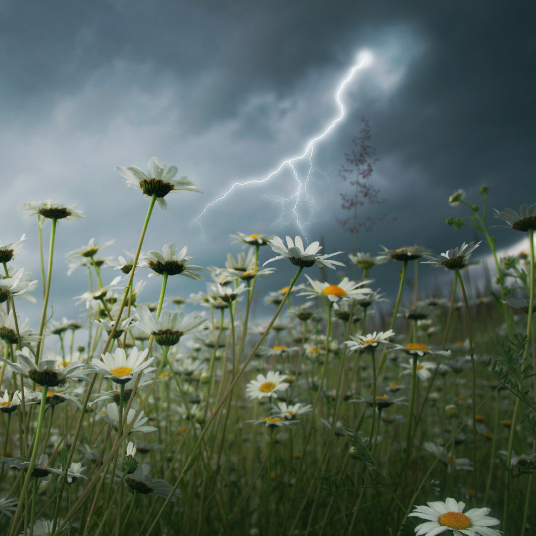 Leinwandbild Lightning Strike over Field