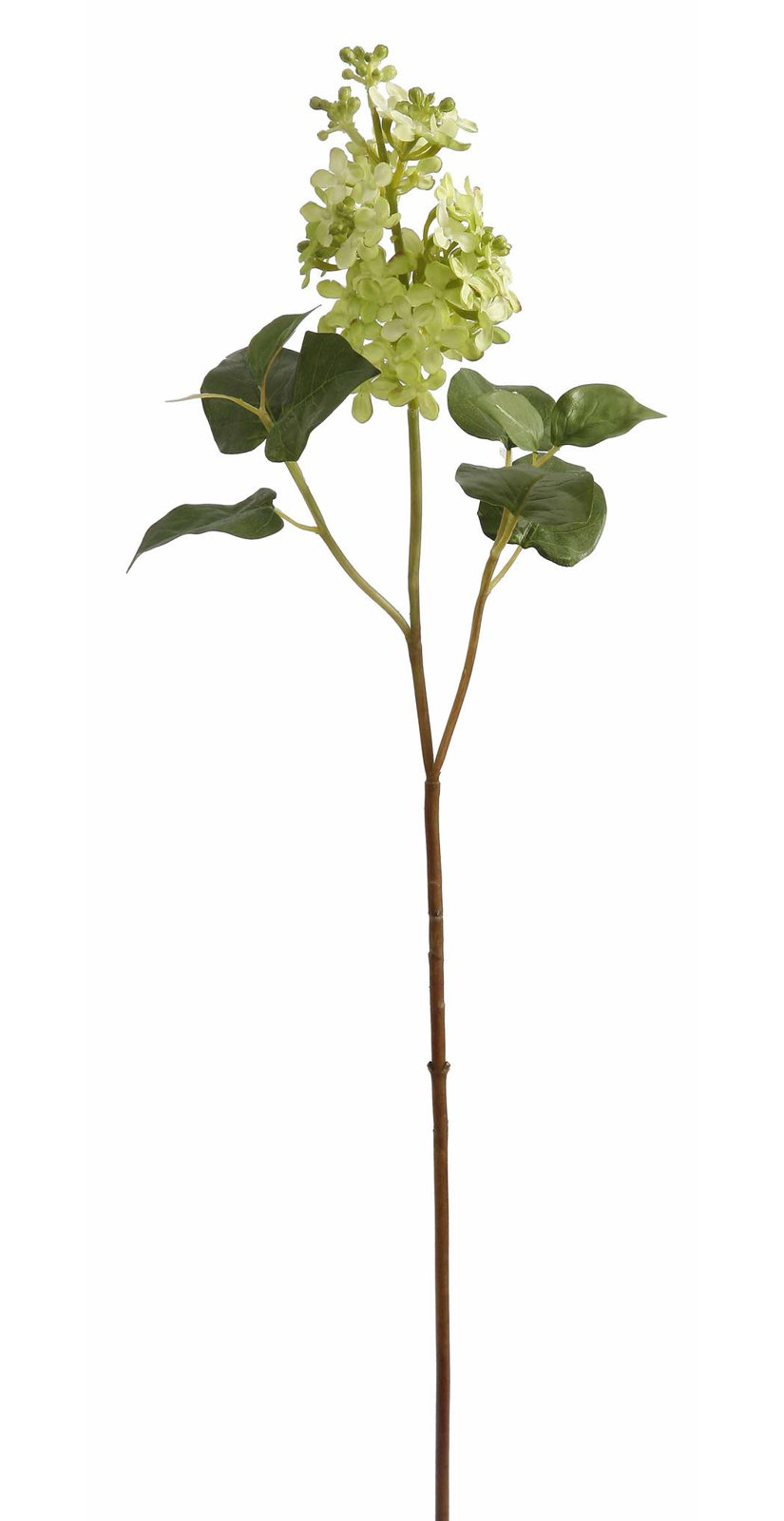 Lilac Floral Stems