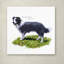 «Border Collie» par Armand, reproduction sur toile-21650510