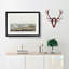 Piping Plover Birds by John Audubon - Picture Frame Painting Print-55616511-55616513