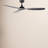 52" Willow 3 - Blade Standard Ceiling Fan with Remote Control-1552169991