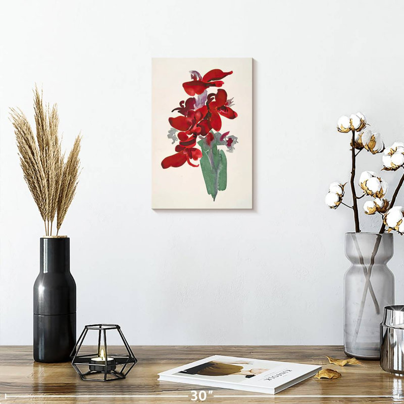 Harnek Red Canna 1915, H 12 po x l 8 po
