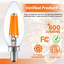 Ampoule candélabre STRAK 6 W, ampoule E12 à culot à intensité variable de 60 watts, intensité élevée 4000