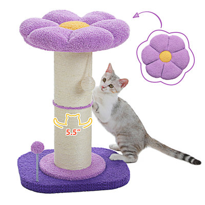 Poteau à griffes PEQULTI, petit arbre à chat, grand griffoir pour chats d'intérieur avec poteau à griffer super épais [Dia = 5,5 po], lit à chat amovible, poteau à griffes avec boule à ressort