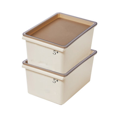 Bac en plastique avec couvercle, boîte de rangement pour garde-robe, vestibule, dortoir (ensemble de 2)