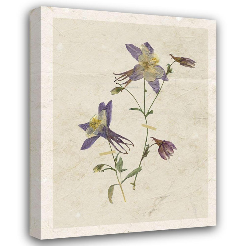 «Red Barrel Studio® Robinson, Carol», reproduction d'art sur toile tendue: Columbine pressée, 18936, H 18 po x l 15 po