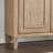 Simple Home Storage Shoe Cabinet