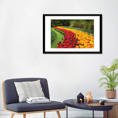 " Netherlands, Keukenhof " by Mikolaj Gospodarek
