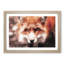 Curious Fox in Abstract - Picture Frame Graphic Art Print-55679735-55679731