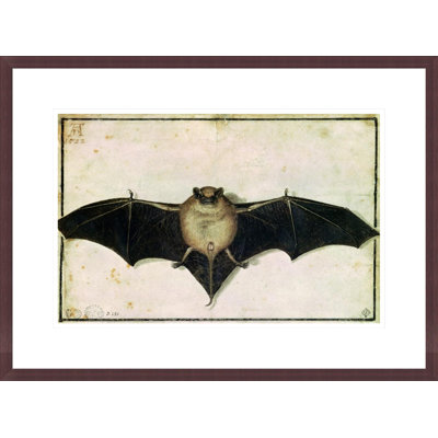Chauve-souris par Albrecht Dürer - Impression sur toile
