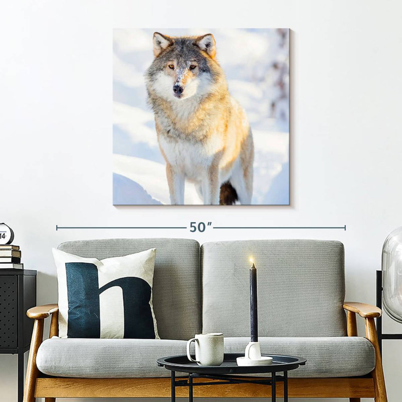Brampt Winter Gray Wolf, 30" H x 30" W
