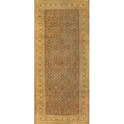 Solal Wool Oriental Indoor Rug