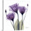 «Manigault», fleur mauve par Kiranjit, reproduction de photo