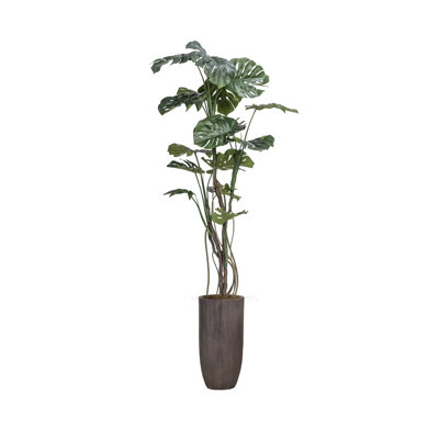 Fausse plante 85,25 po Monstera