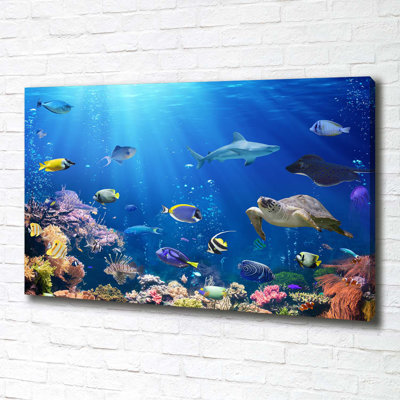 Coral Reef - Wrapped Canvas Print
