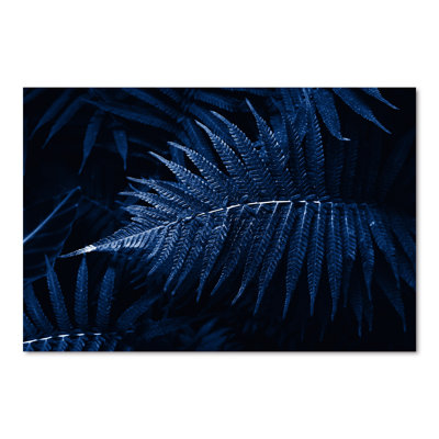 Feuilles tropicales en bleu classique - photographie sur toile