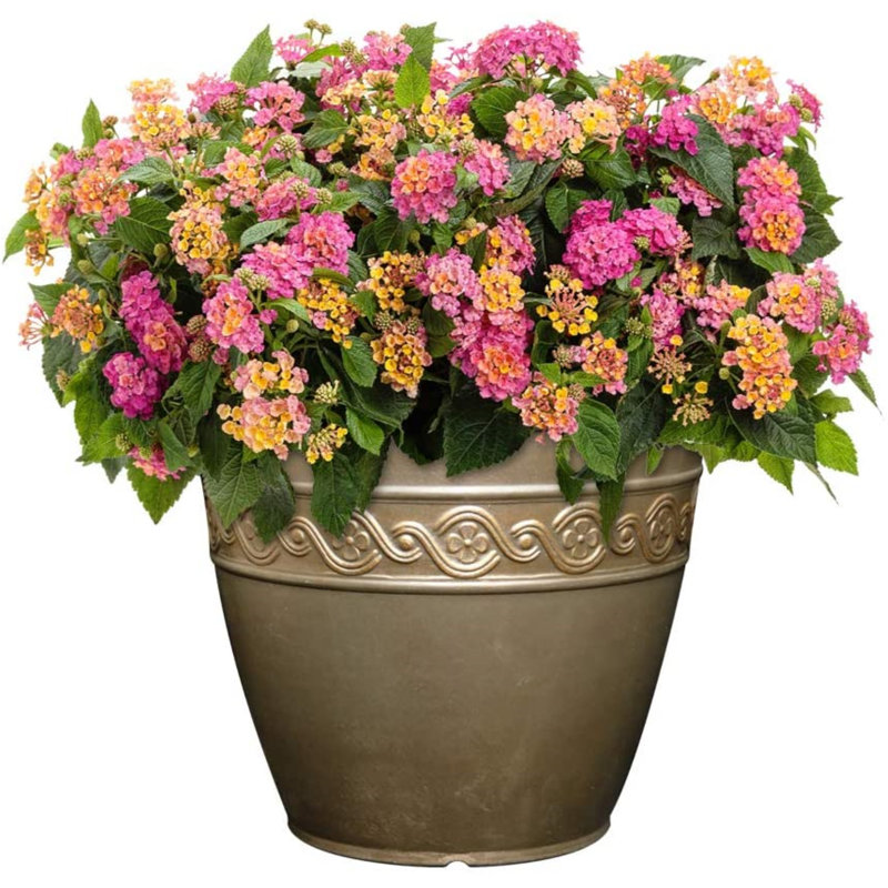 Milahn Resin Round Pot Planter, 8.5" H x 10" W x 10" D, Bronze