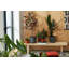 B.For Pot Planter-37904858-70004575