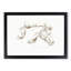A Head of a Horse by Jean Bernard - Framed Print-55453347-55453348
