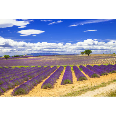 Provence, France - Photographie sur toile tendue