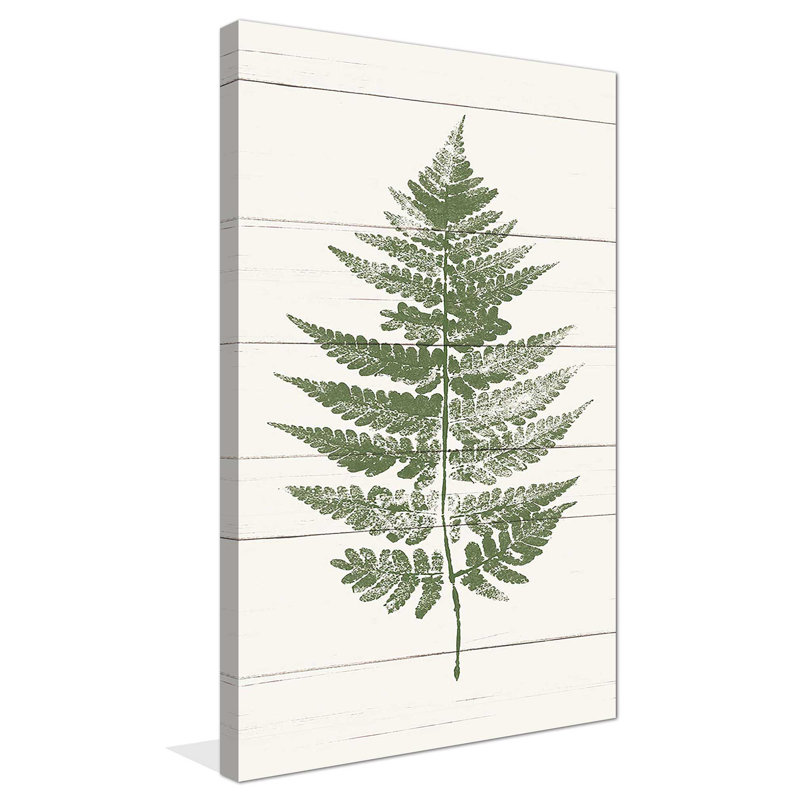 " Fern Print I (Vertical) ", Wrapped Canvas, 30" H x 18" W x 1" D