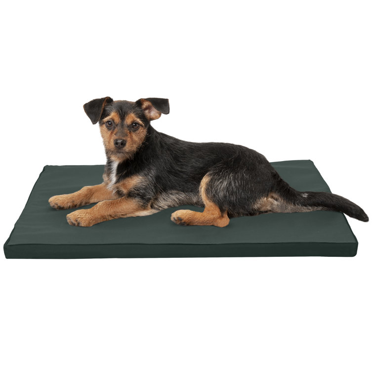 FurHaven Nap Kennel Pet Pad, Green