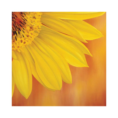 Sunflower II 1 Piece Wrapped Canvas Painting
