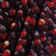 Tapisserie murale «Fruit Loganberry»-133648866