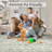 Area Rug Washable  Area Rug for Living Room, Vintage Floral Rug Low Pile, Non-Slip, mark Resistant Carpet for Living Room, Bedroom, Dining Room, Home Office-940657699