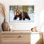 Adulte grizzly-107671338