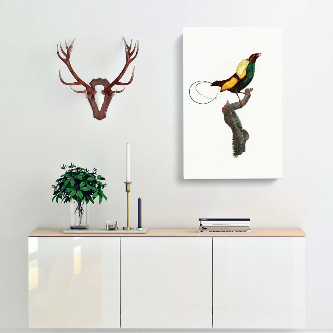 A Magnificent Bird of Paradise by Jacques Barraband - Wrapped Canvas