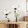 Teleah 47'' Console Table