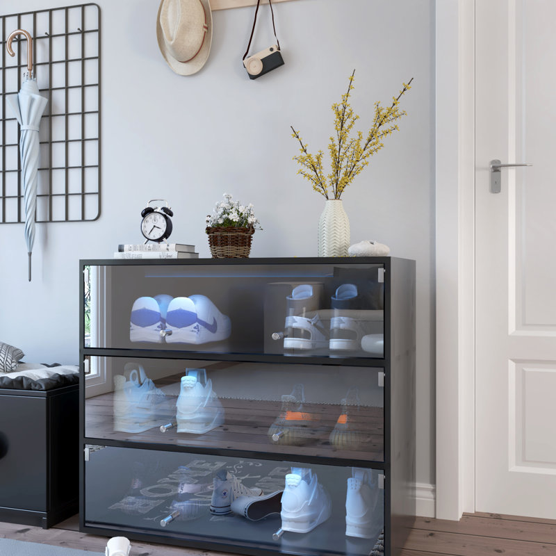 Rangement pour chaussures avec porte en verre noir et DEL, organisez votre support à chaussures pratique et accrocheur