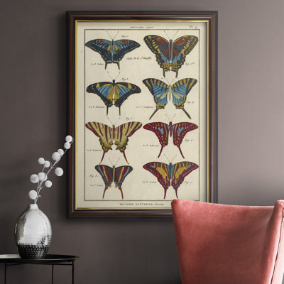 " Histoire Naturelle Butterflies VI "