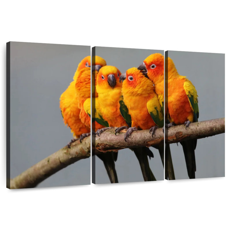 Brampt Wild Sun Parakeets, 36" H x 57" W