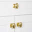 Anneau Cabinet Knob-245331130