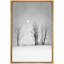 «Black and White Winter Snow Trees» sur-99141877-99141874