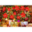 The Holiday Aisle®-1768569283