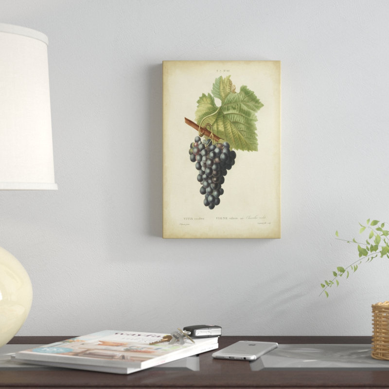 Antique Bessa Grapes I, peinture sur toile, H 12 po x l 8 po