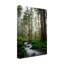 Art mural sur toile tendue - Rick Berk «Woodland Cascades», art mural pour salon, chambre à coucher ou bureau - 12 x 19