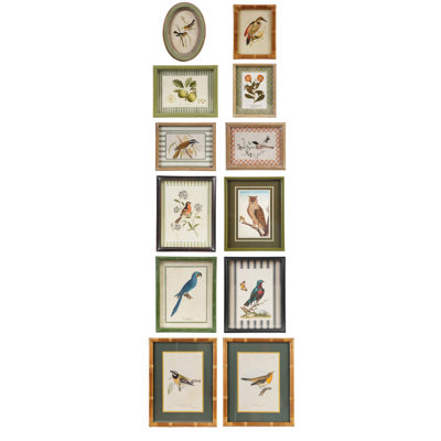 Gallery Set of Firwood & Reclaimed Frames with Botanical Bird Prints