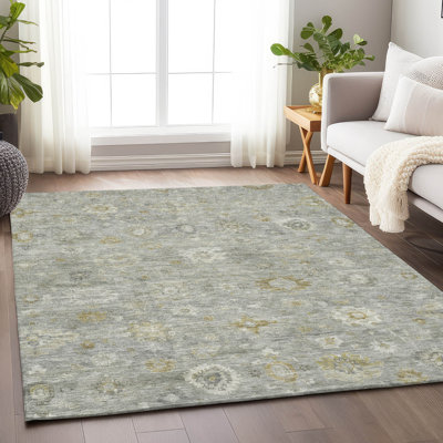 Machine Washable Indoor/Outdoor Xhevrie Gray Rug