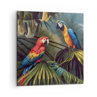 Papagei) zum Alle Verlieben (Rot; Bilder