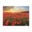 Coucher de soleil sur fond de coquelicots, art mural sur toile-1729551938