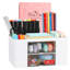 Olivet Plastic Desk Organiser