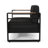Aluminum Outdoor With Dark Cushions - Style Water- Cover And Horizontal Channel Tufting